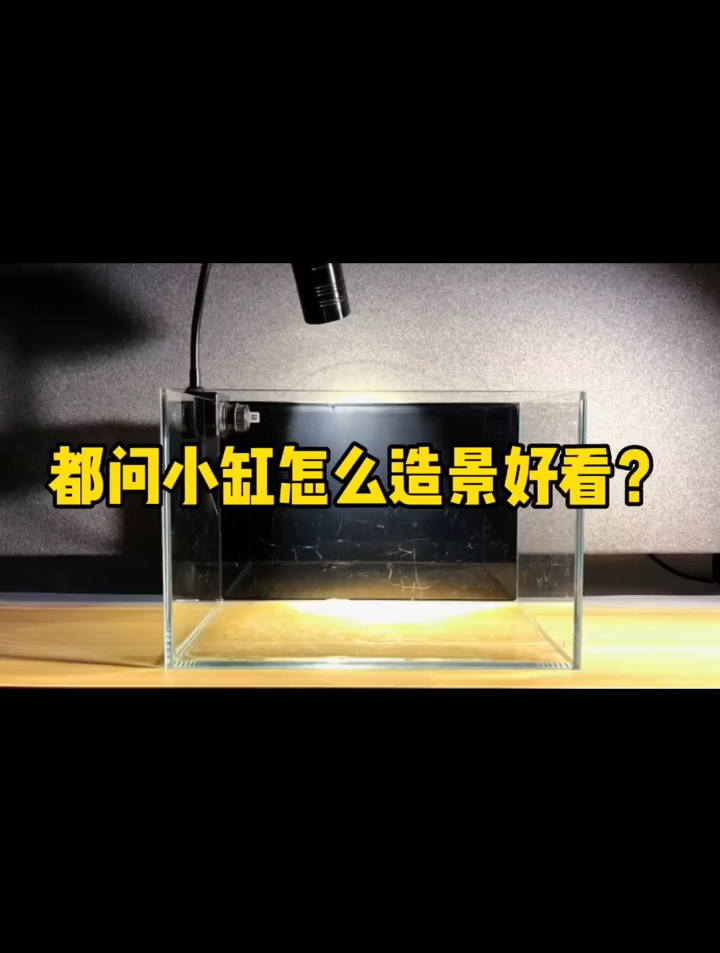 小缸怎么造景好看?莫斯提前粘好,加水兰水榕草,简单造景搭配