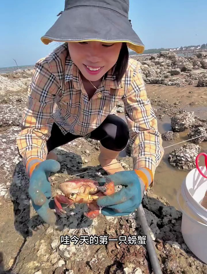 真实赶海抓的面包蟹真是过瘾,每天的赶海生活都特别治愈