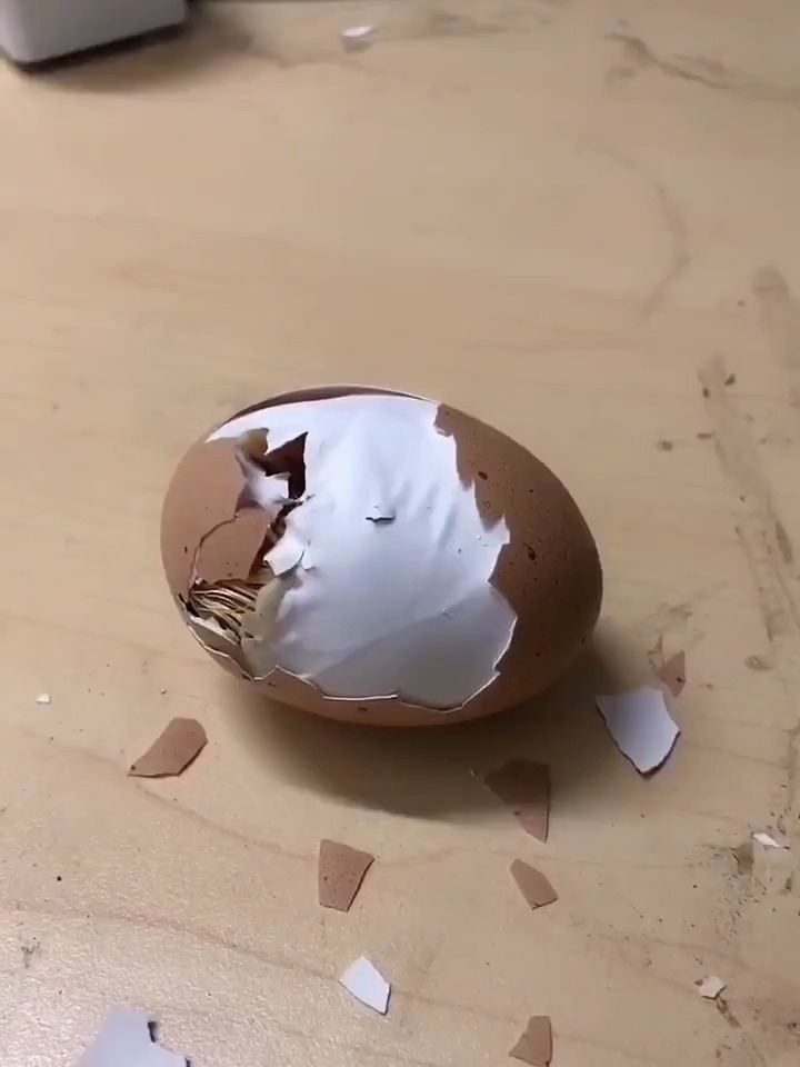 小鸡破壳而出,好可爱!