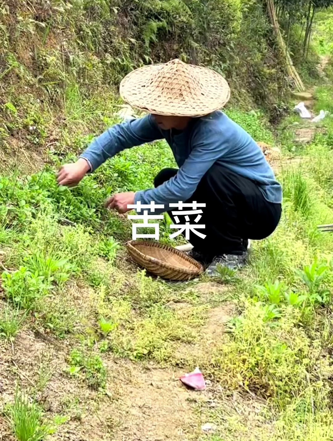 苦菜小肠汤是屏南特色的一道美食,你吃过吗?你那边是怎么做的?