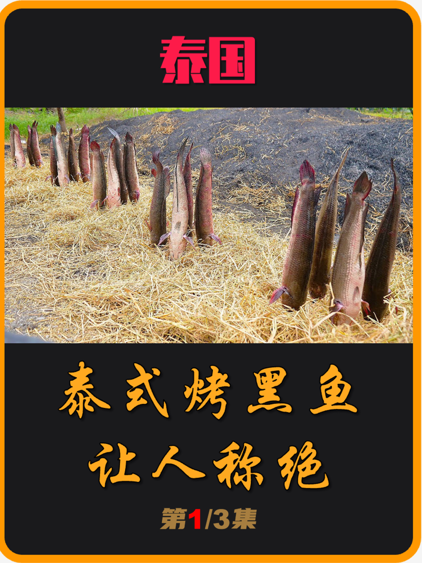 黑鱼的泰式吃法,方法简单粗暴,绝对让你眼前一亮!(01)
