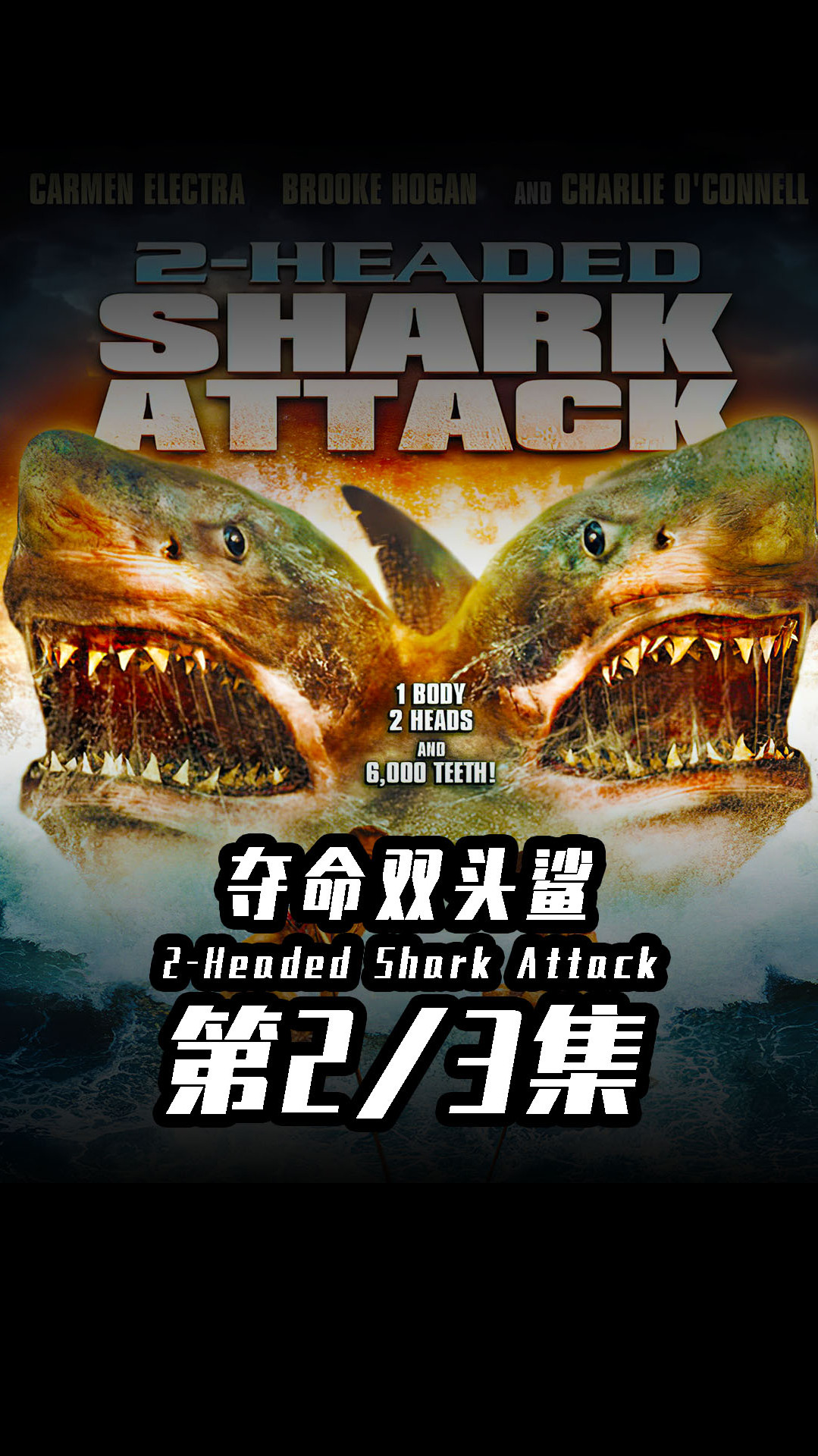 两个头的恐怖鲨鱼!