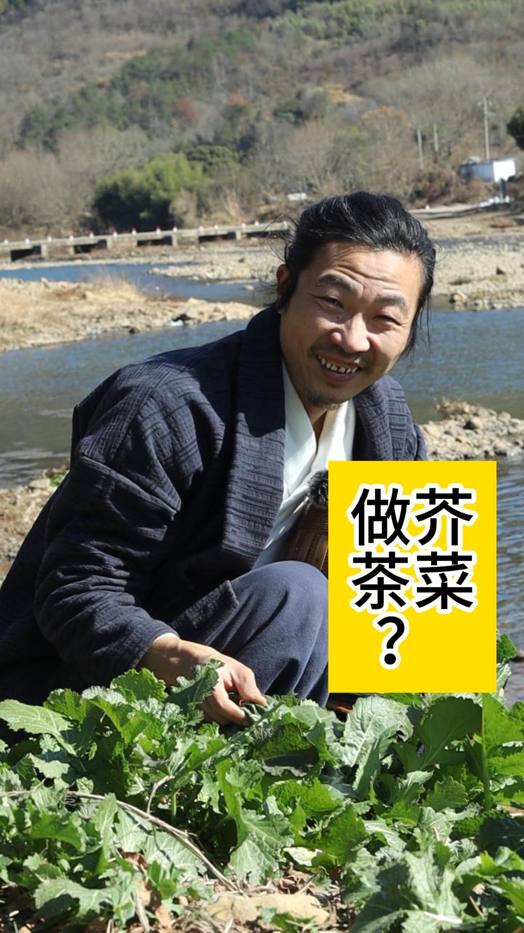 农村野菜做茶体验,芥菜茶?