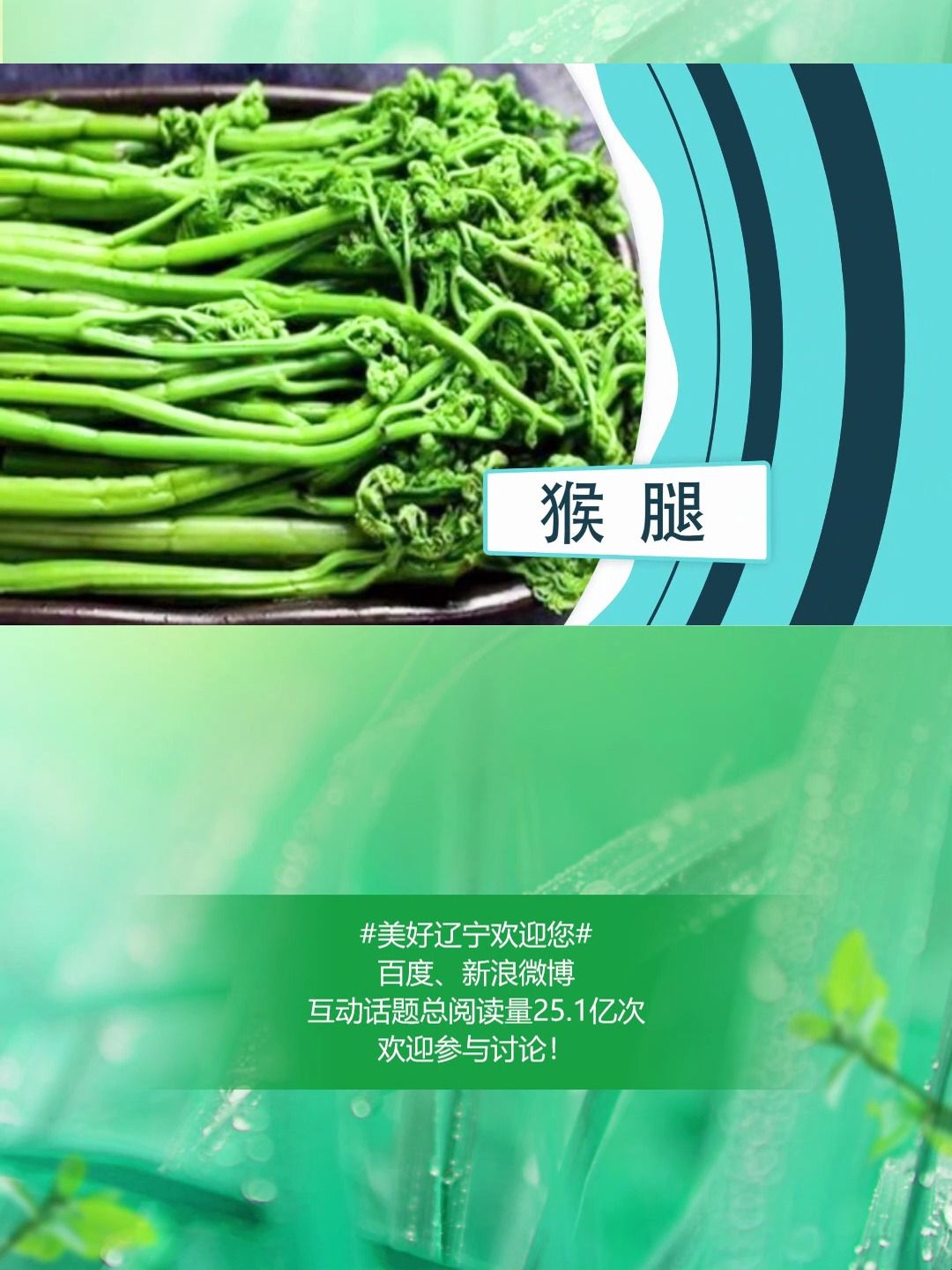 西丰山野菜