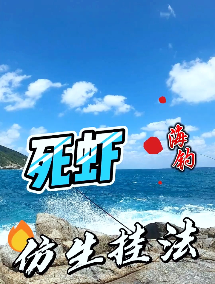 海钓饵 死虾的仿生挂法