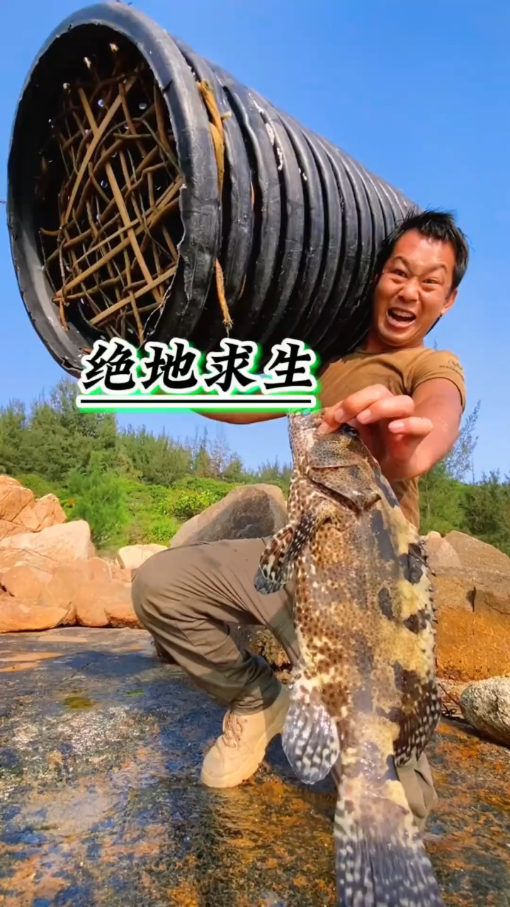 制作大型鱼笼,捕获老虎斑鱼