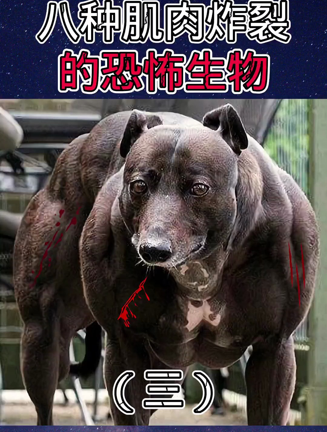 八种肌肉炸裂的恐怖生物