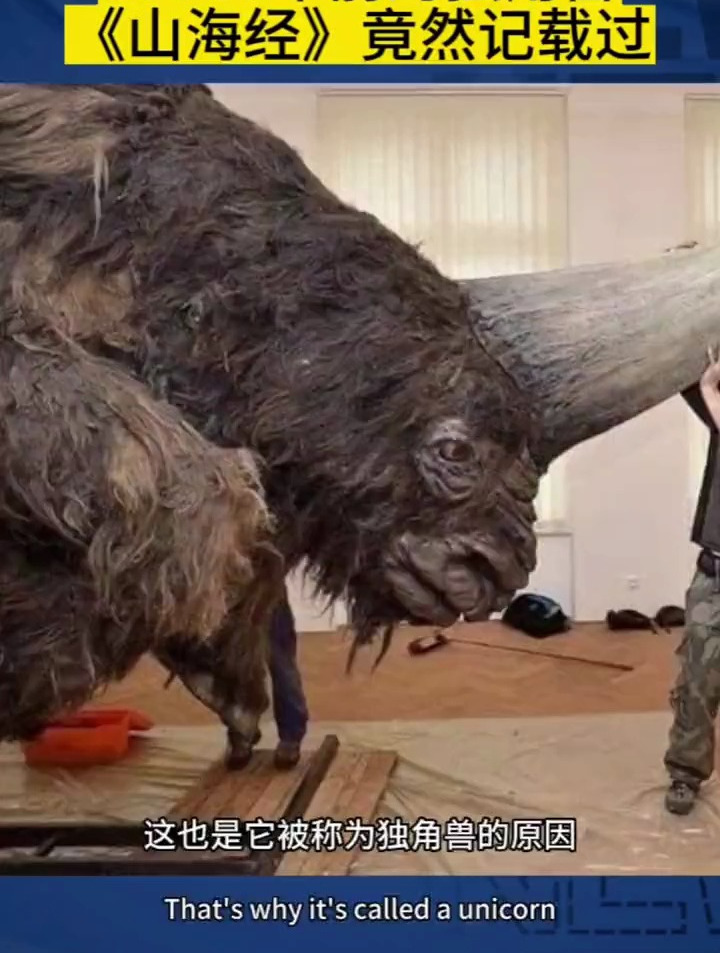 世界奇闻:39000年前的独角兽竟然在我国的《山海经》中记载过