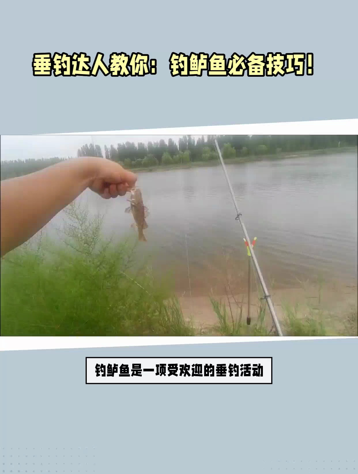 垂钓高手分享:钓鲈鱼常用方法和技巧,让你成为钓鱼达人!