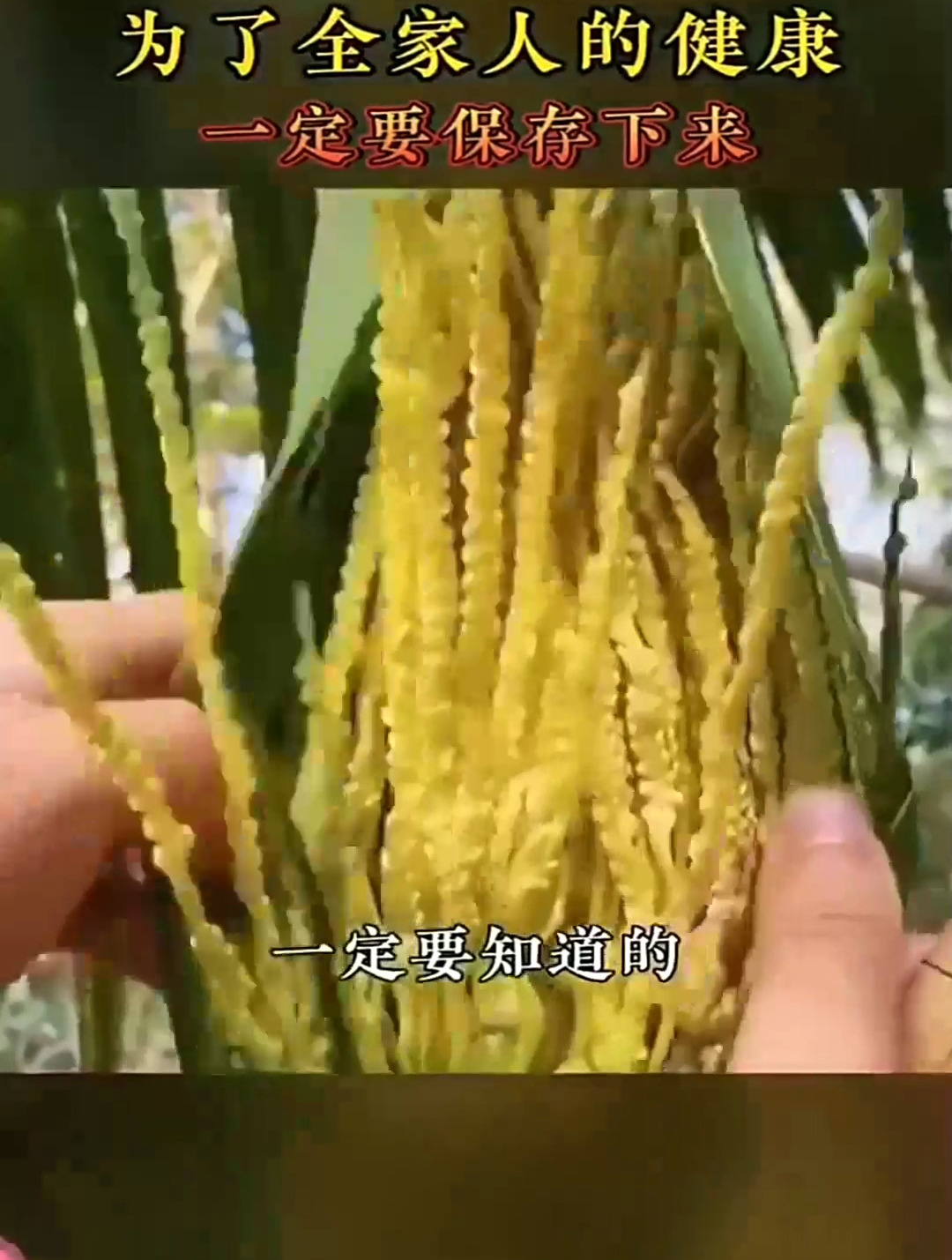 百病食疗大全,一本书让你从饮食来修复你的身体,每道菜都是药膳