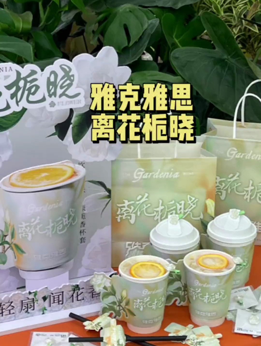 雅克雅思你是真的很懂浪漫