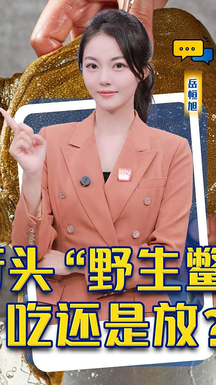 街头“野生鳖”吃还是放？