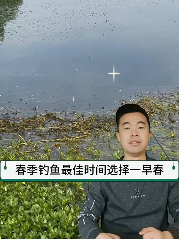春钓鲫鱼最佳时间点,学会从此不空军