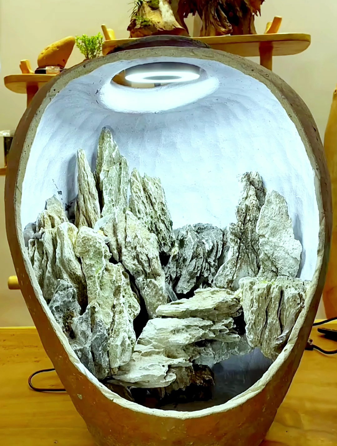 家里不要的玻璃罐也可以当作景观盆?不要扔!留下来!