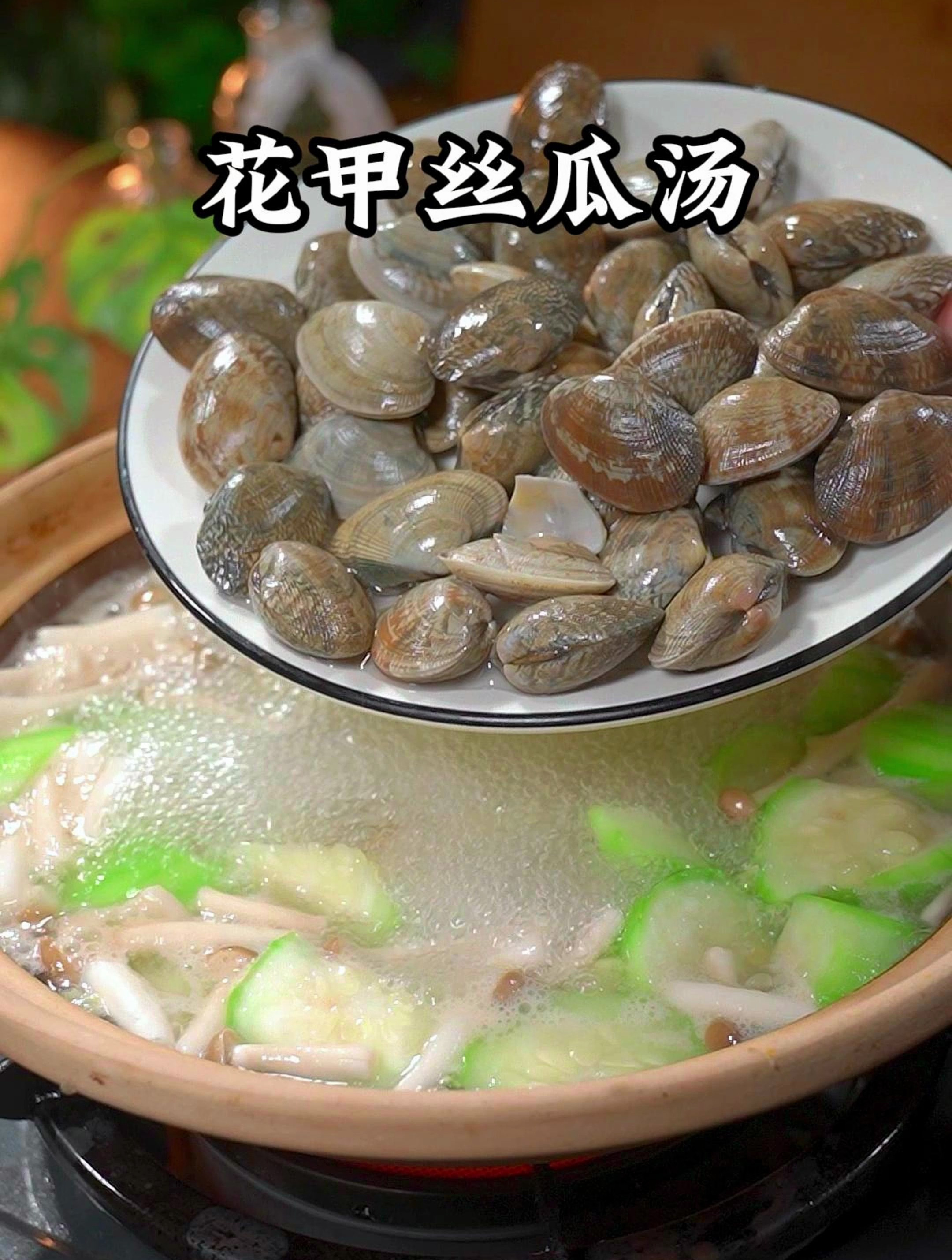你一定要试试丝瓜花甲豆皮汤,清爽可口,鲜美好喝又营养