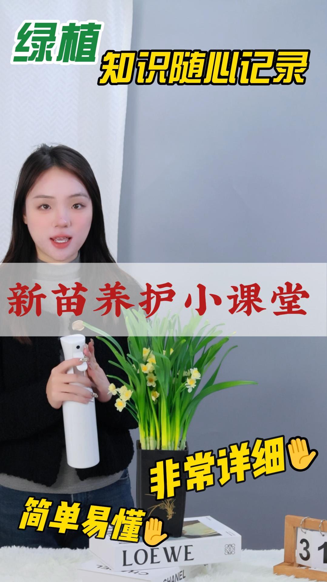 属于中国专属的跨年香气水仙花,开花整屋子都能闻到,来直播间!