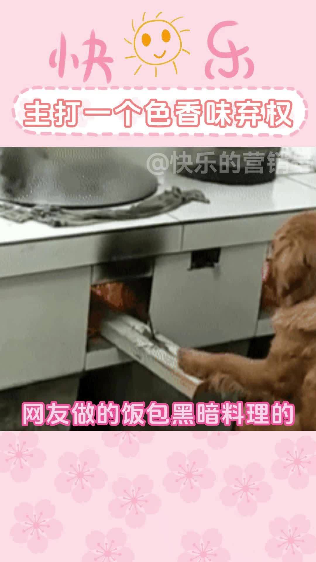 网友做的饭包黑暗料理的