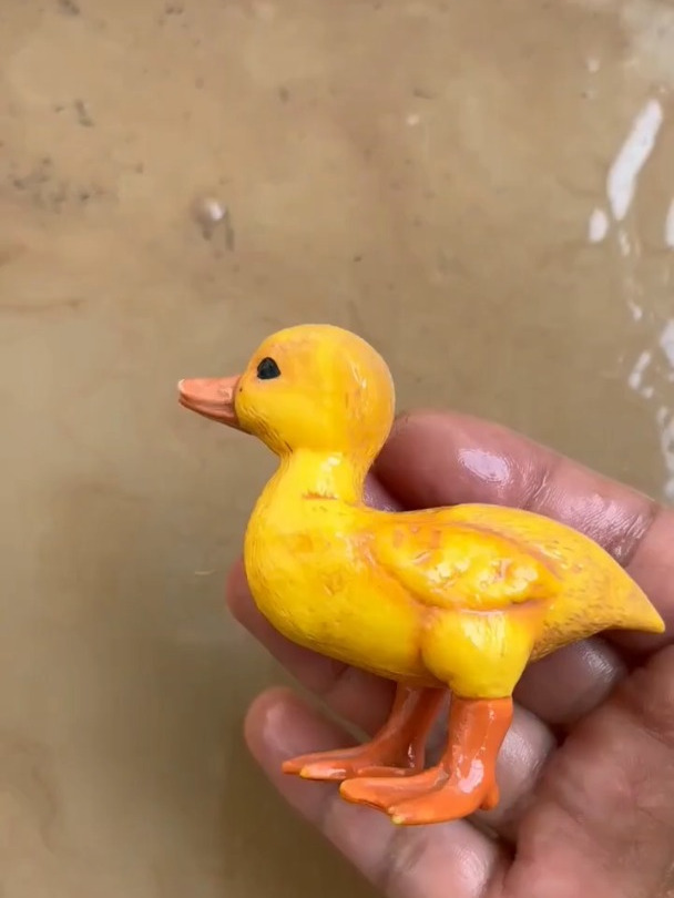 小黄鸭变成了一条鱼 洗玩具