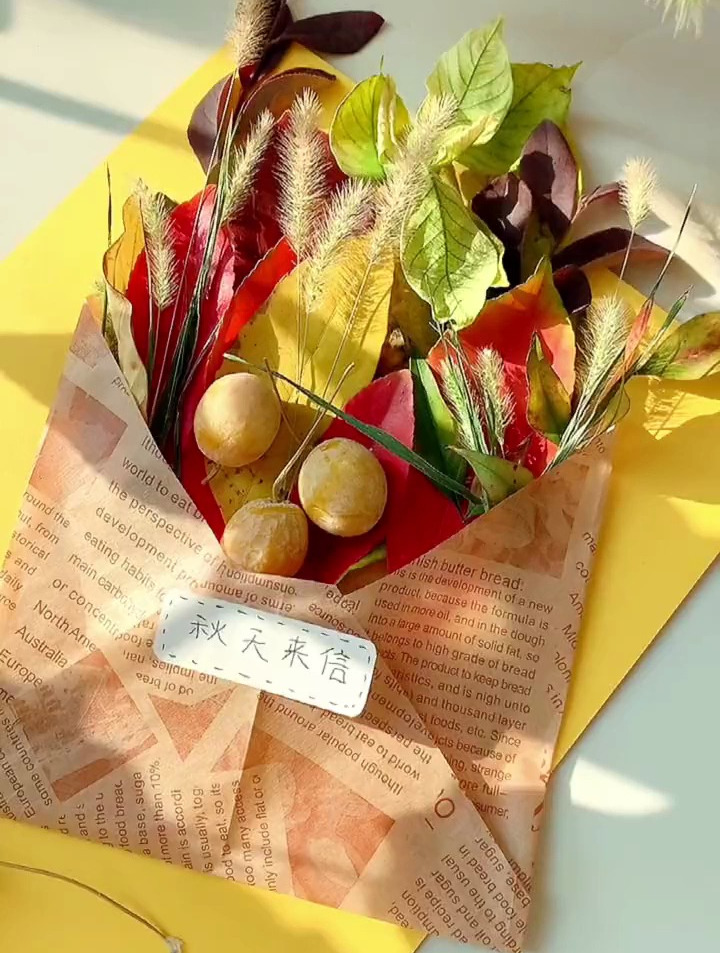 秋天来信 树叶贴画 假期一起拾秋收集秋天 树叶粘贴画 秋天