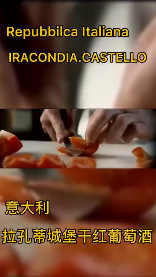 来自意大利托斯卡纳的拉孔蒂城堡干红葡萄酒