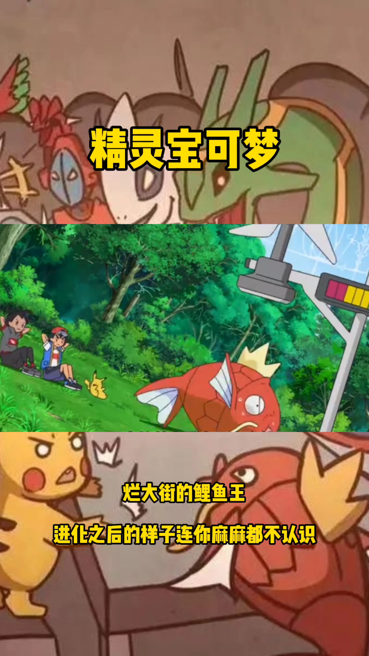 精灵宝可梦中的鲤鱼王,进化之后连你妈妈都认不出,大凶残就是它