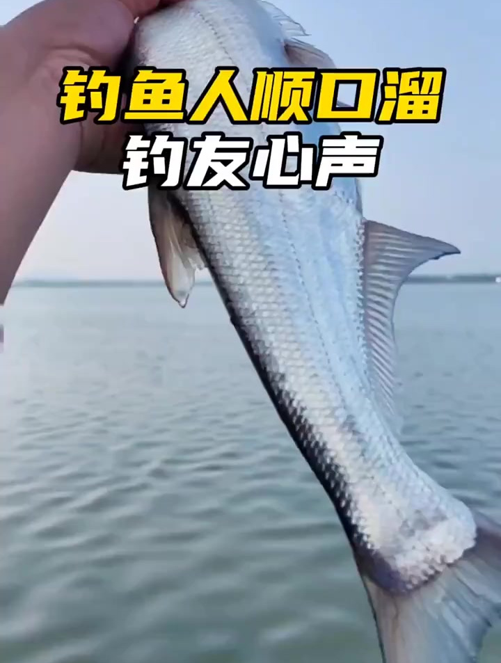 钓鱼人顺口溜之钓友心声,都说到心坎去了