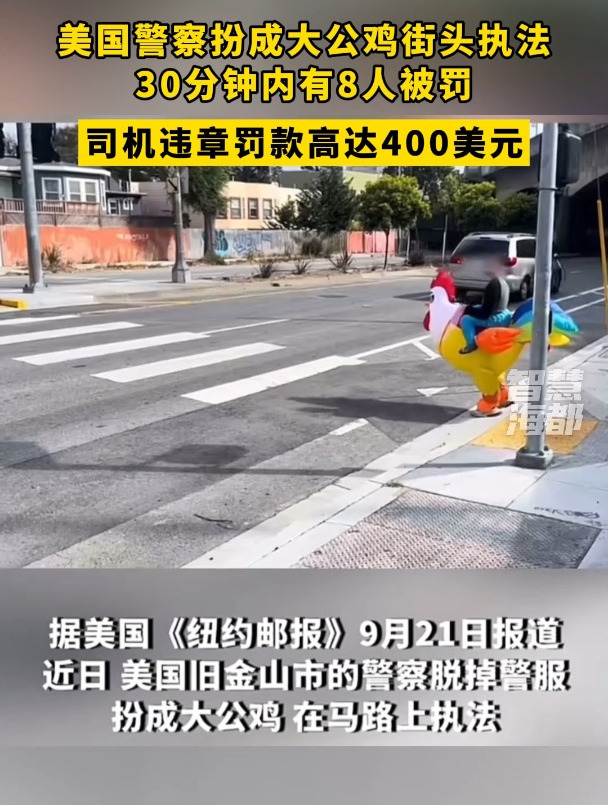 美国警察扮成大公鸡街头执法,30分钟内有8人被罚,司机违章罚款高达400美元