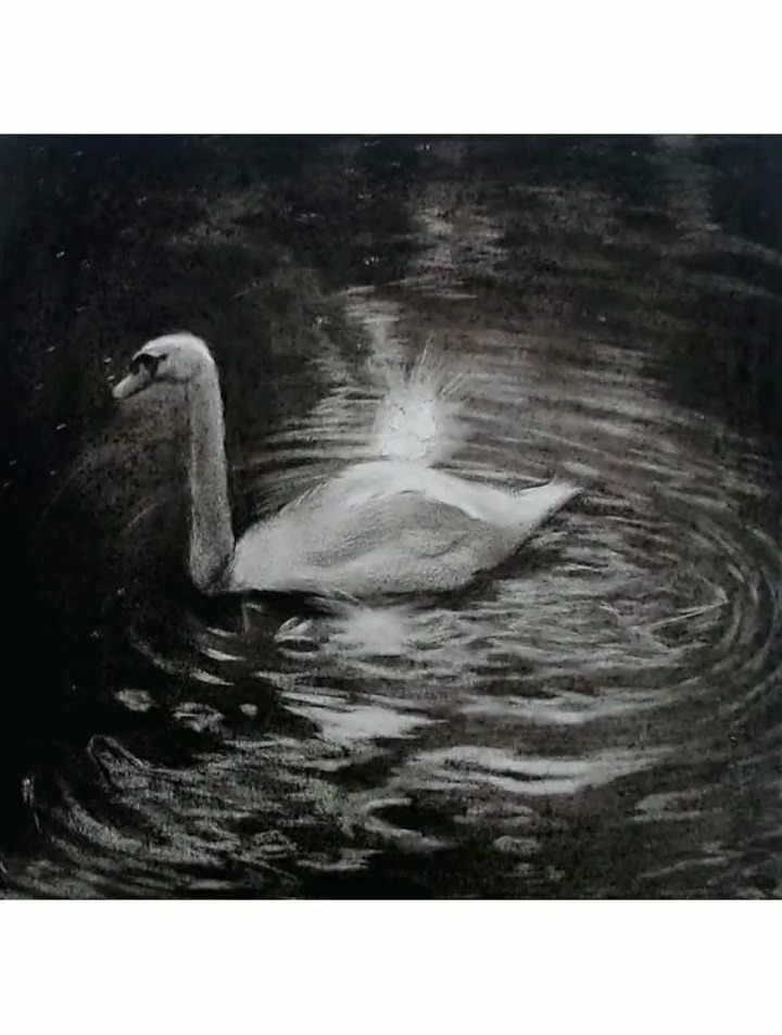 每日一画,天鹅湖 绘画