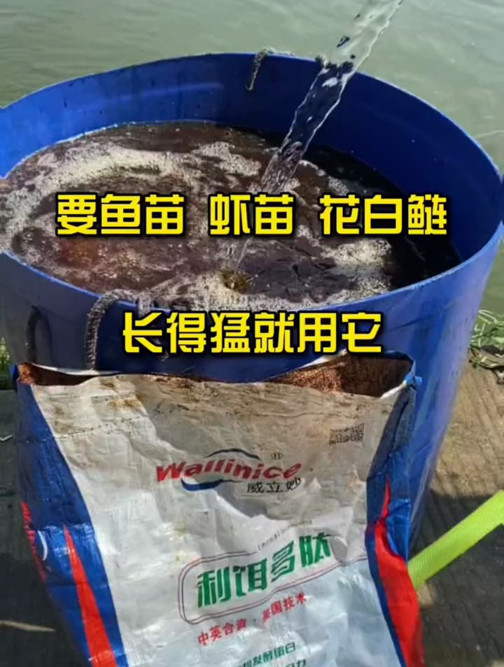 要想鱼苗虾苗花白鲢长得好,就用利饵多肽,直接兑水稀释泼洒