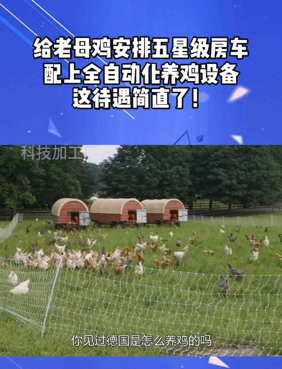 给老母鸡安排五星级房车,配上全自动化养鸡设备,这待遇简直了!
