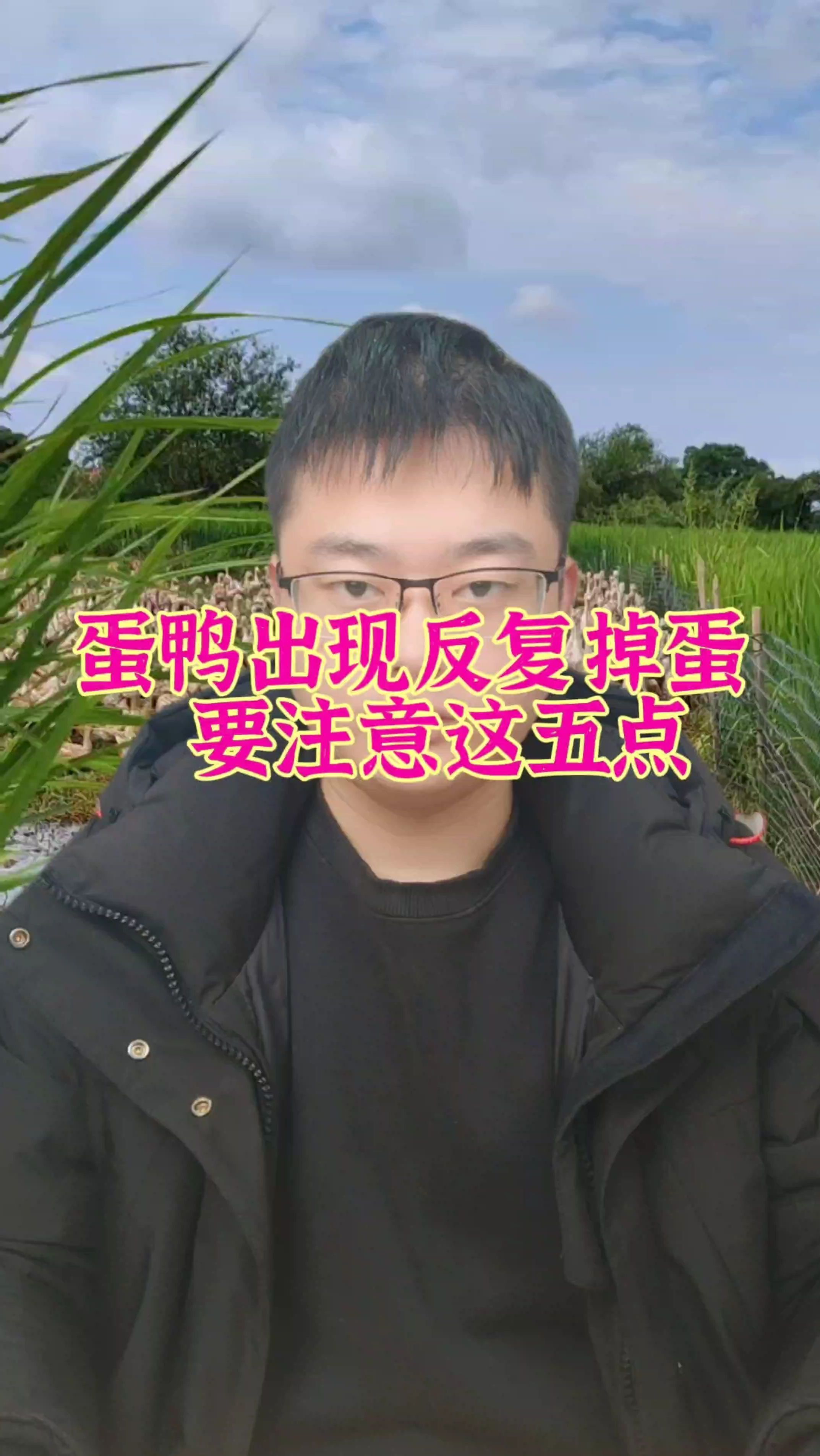 蛋鸭出现反复掉蛋,要注意这五点