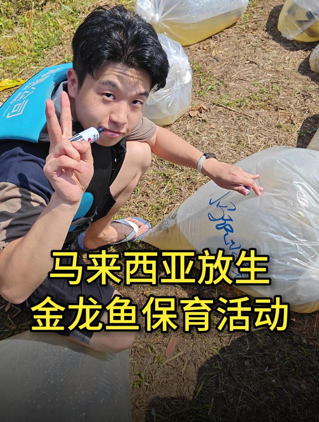 放生了400多条金龙鱼种鱼,在马来西亚龙鱼原产地,岜眼三目河