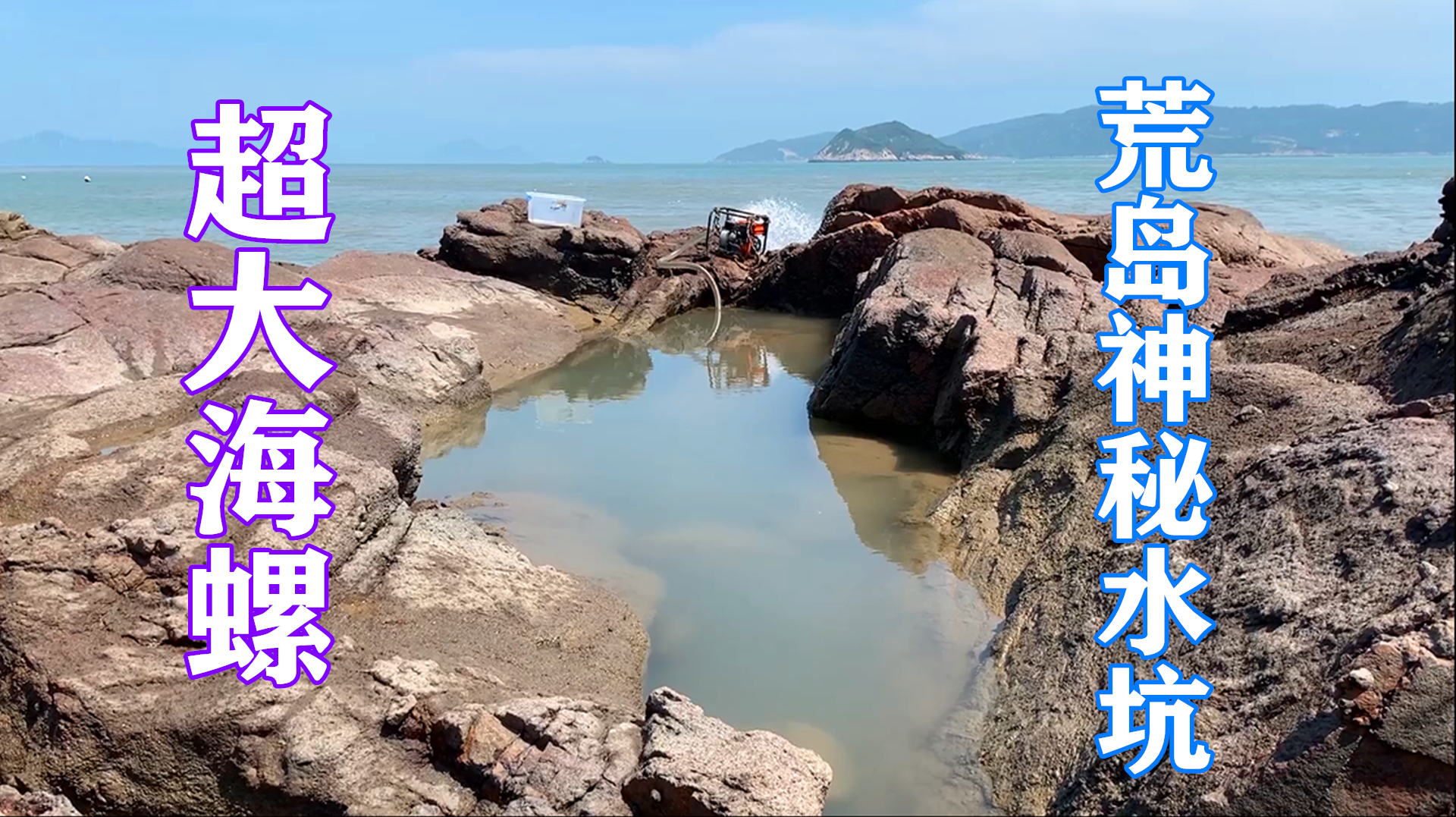 荒岛赶海抽新水坑,意外发现“螺王”和“夫妻鱼”,石斑鱼都超大