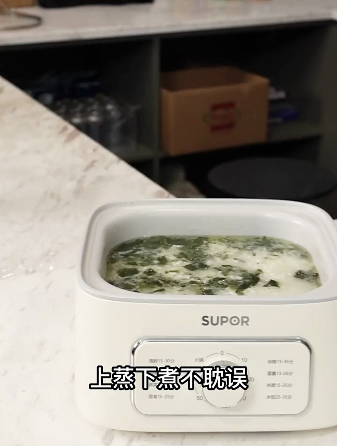 苏泊尔(SUPOR)电蒸锅 蒸11炖锅