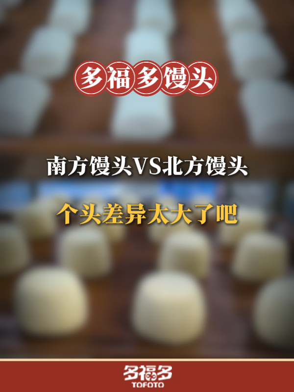 南方馒头和北方馒头,个头差异也太大了吧?