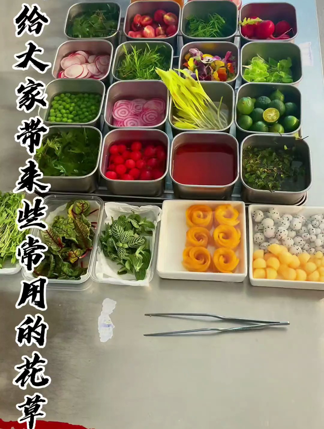 盘饰花草 常用的花草名称整理出来啦