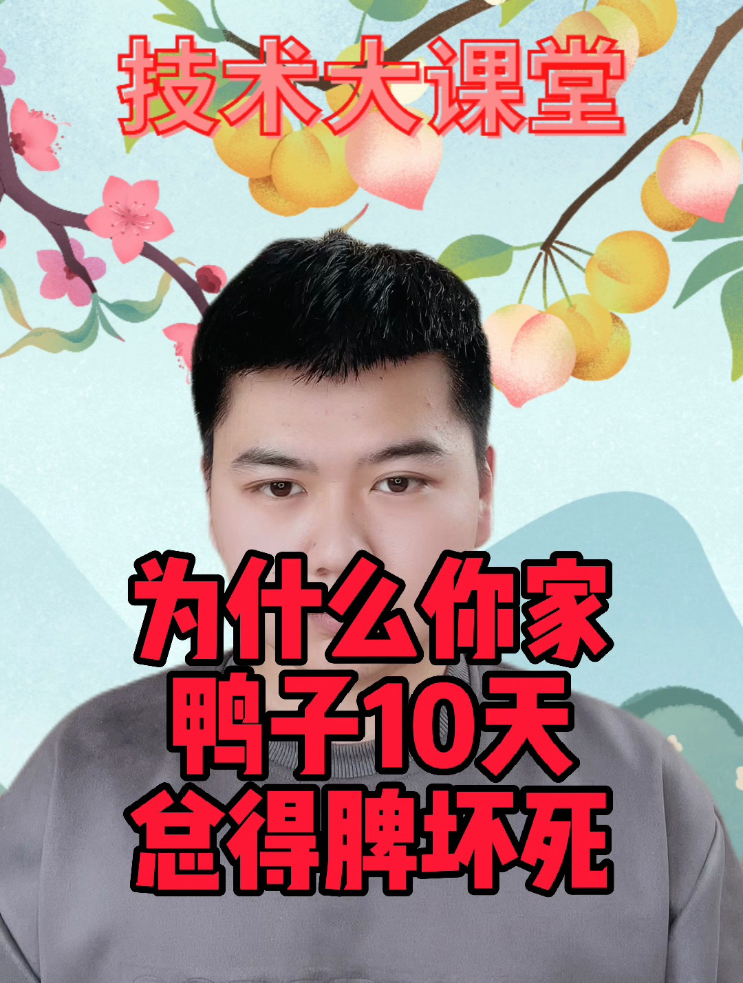 鸭脾脏坏死是什么原因肉鸭大理石脾怎么引起的鸭子脾坏死什么原因