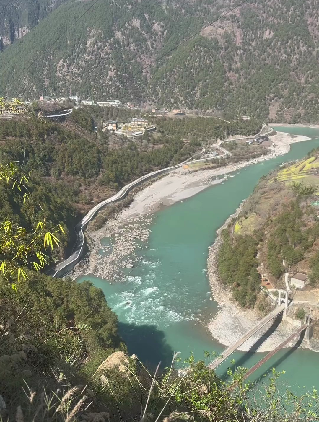 江鱼、生长在云南怒江,每年春天从江的下游往3890海拔上游