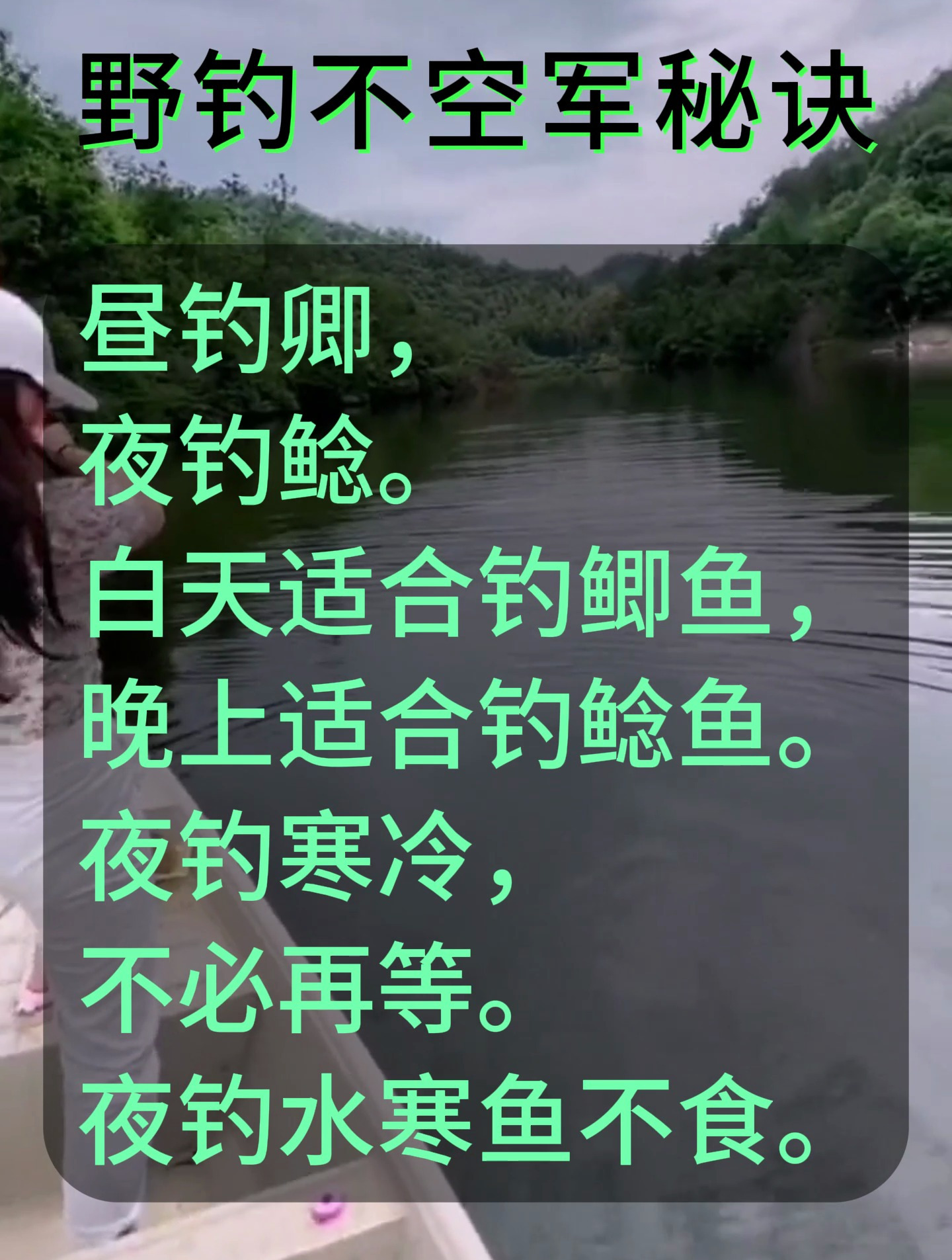 什么时间适合钓鲫鱼、鲶鱼,你都知道吗?