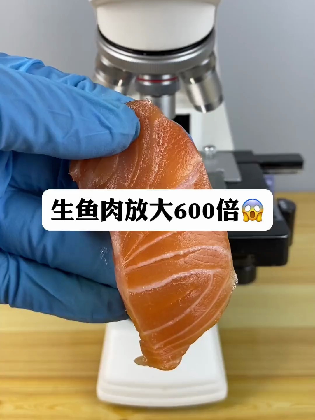 生鱼肉放大600倍,看看有什么