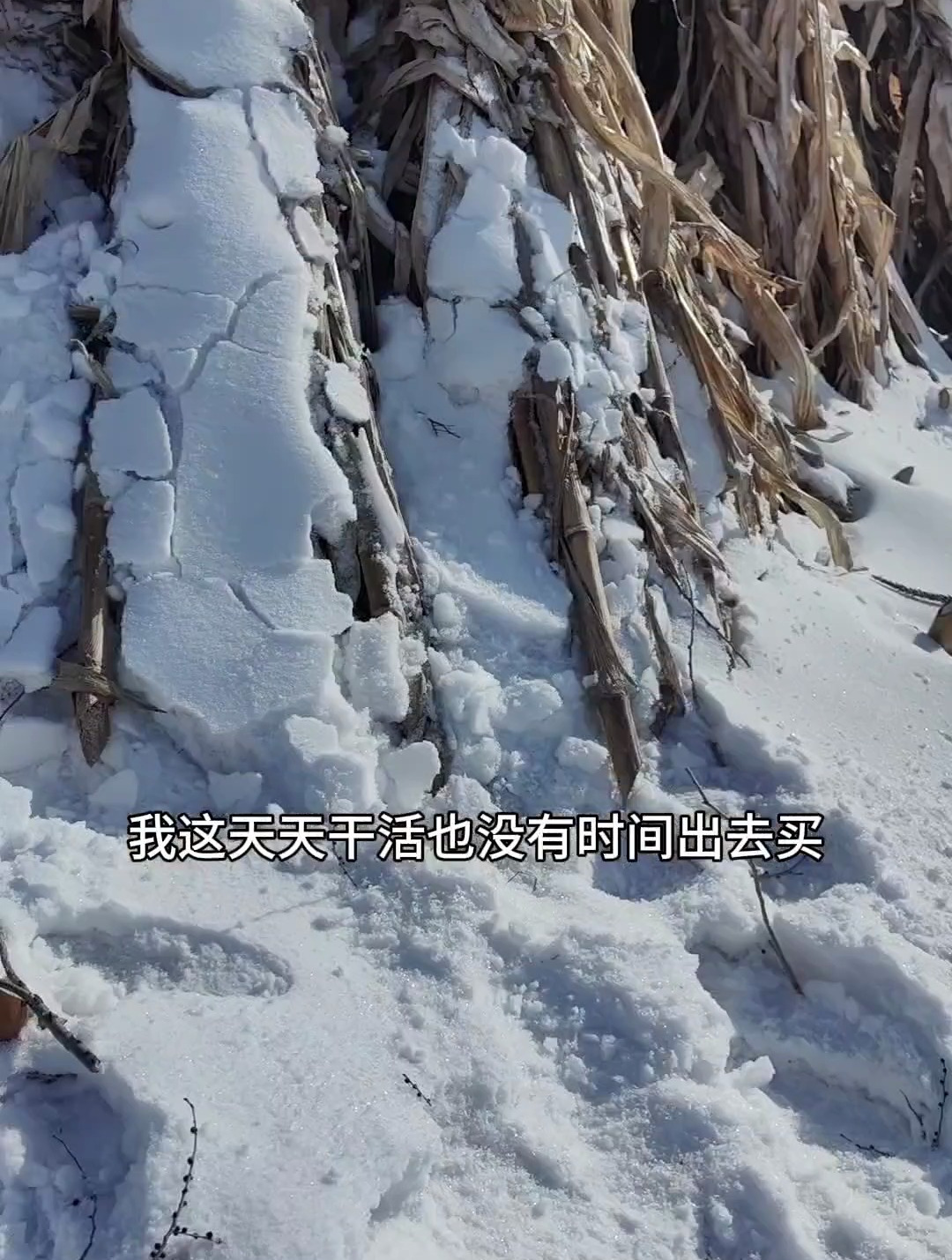 我妈说想吃大鹅了