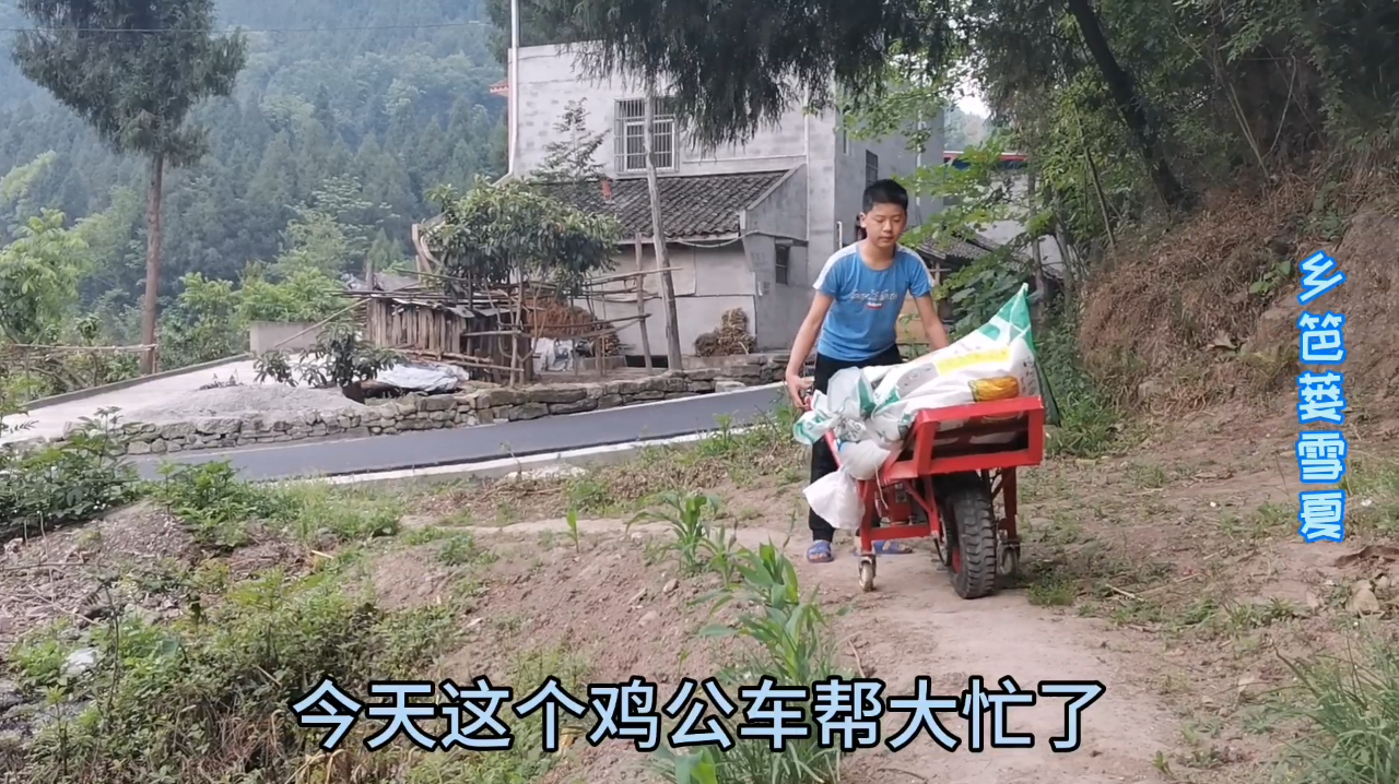 四川农村,13岁的儿子轻松的把两袋肥料送得地头,鸡公车帮了大忙