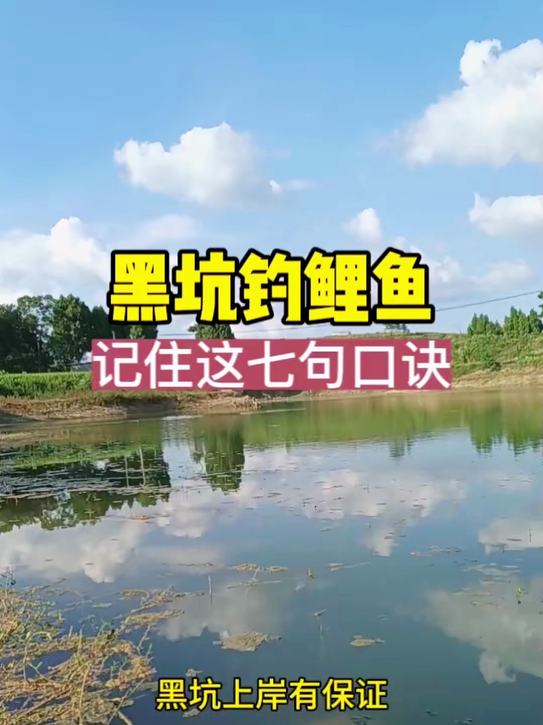 黑坑如何钓鲤鱼?记住这七句口诀钓大鱼一点都不难!