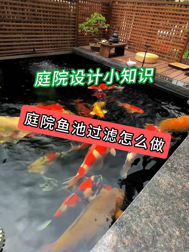 庭院鱼池过滤怎么做 庭院设计 小院改造 花园设计 武汉庭院设计