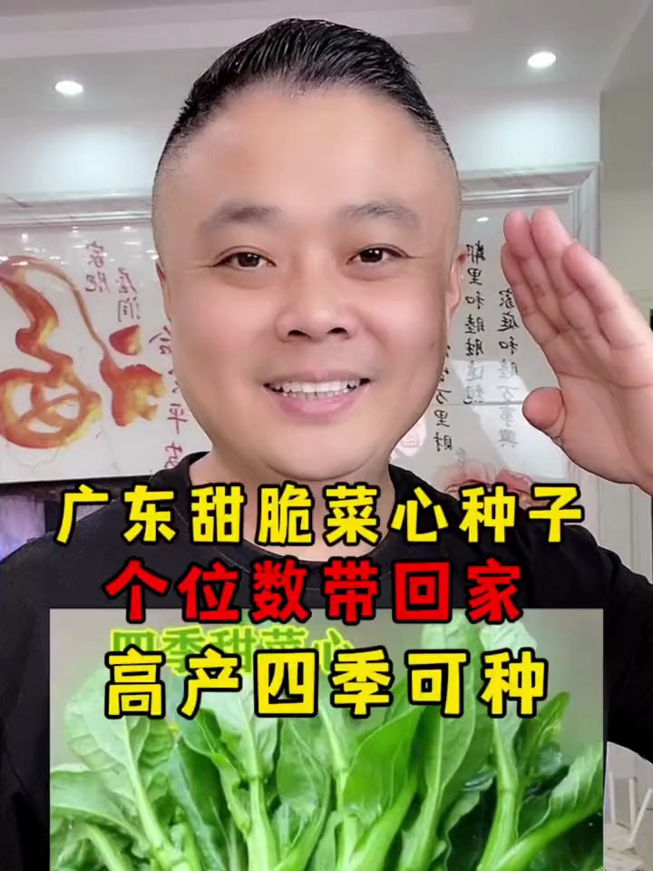 这个甜菜心全年栽种,盆栽田园春秋冬季蔬菜种子,耐热寒清脆香甜