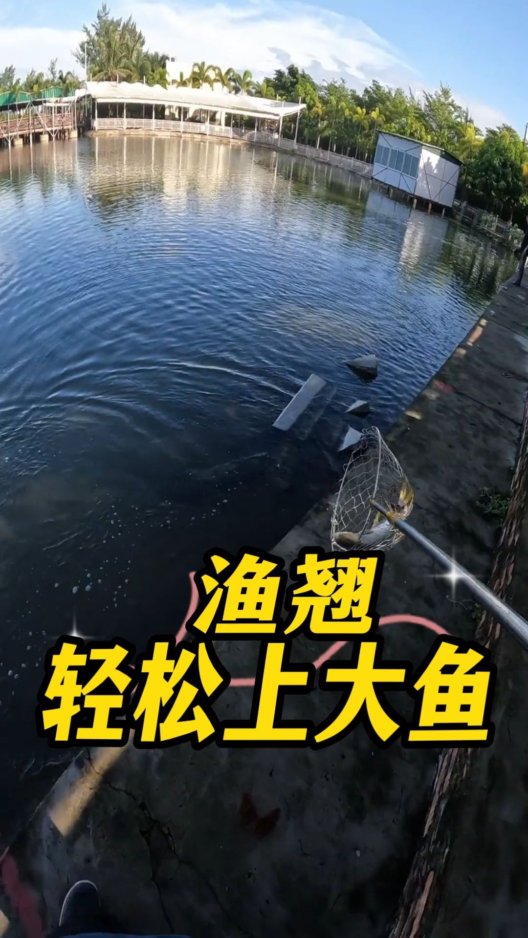 你想让我们看你的锚鱼大法和耐造的竿子,我想看鱼遛你