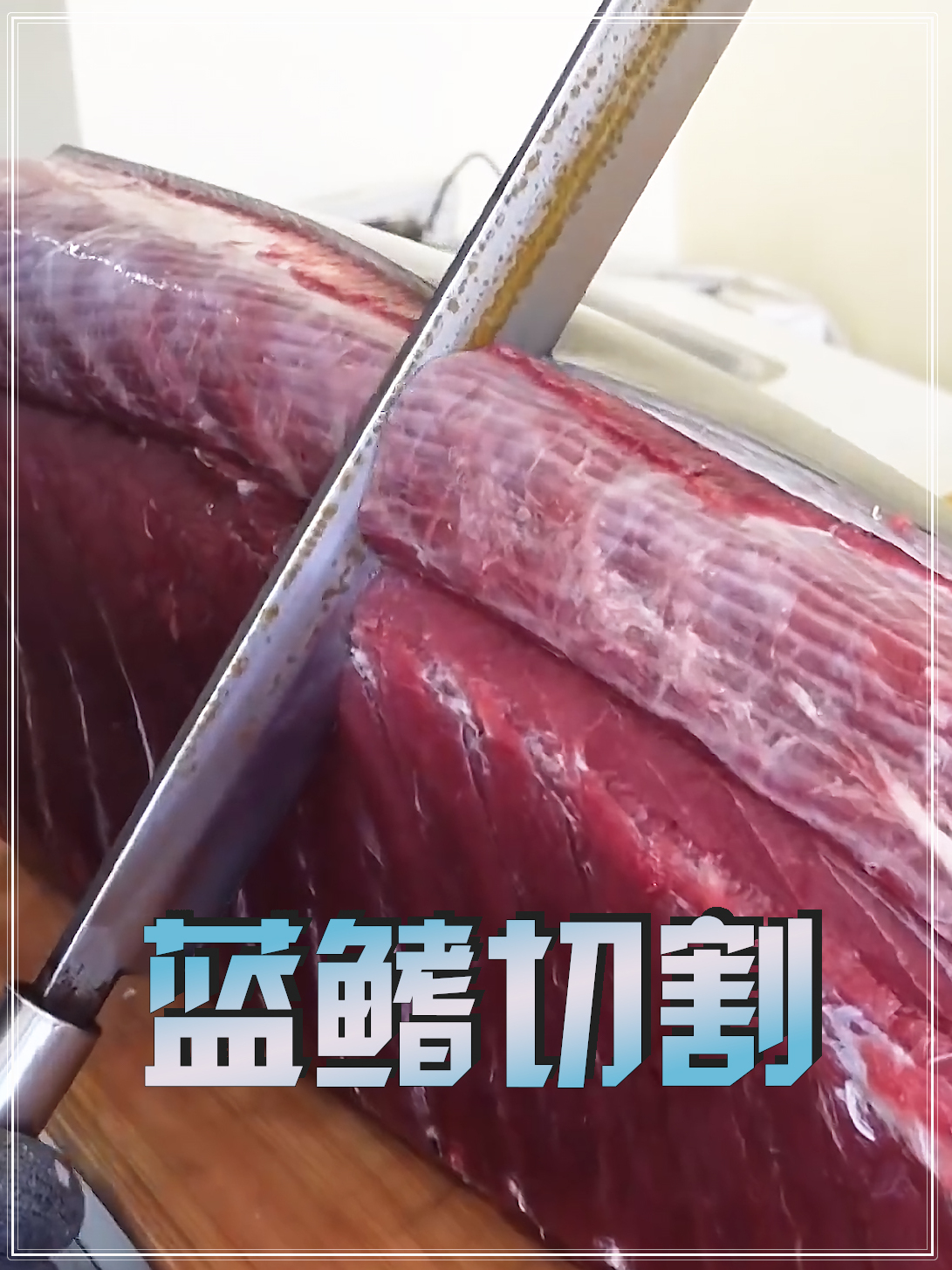 蓝鳍金枪鱼的切割和生鱼片制作过程