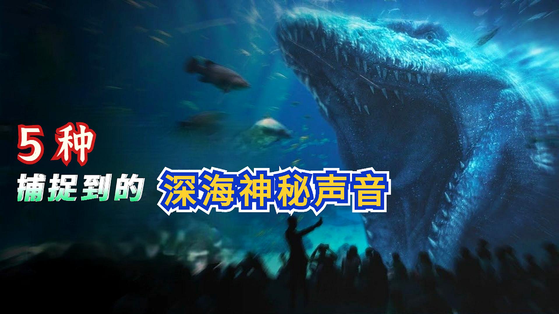 [图]利用声纳探测到的 5 种深海生物神秘声波