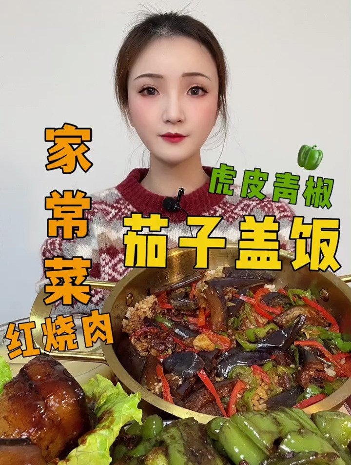 虎皮青椒 茄子盖饭 红烧肉