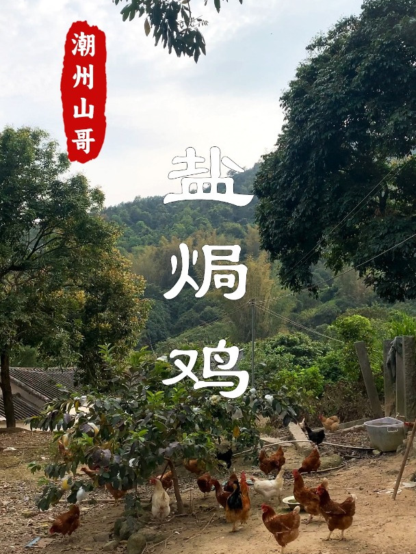 梅州客家盐焗鸡,潮汕人也爱吃